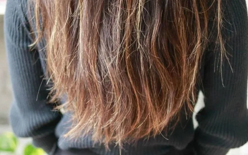 Tóc khô rối