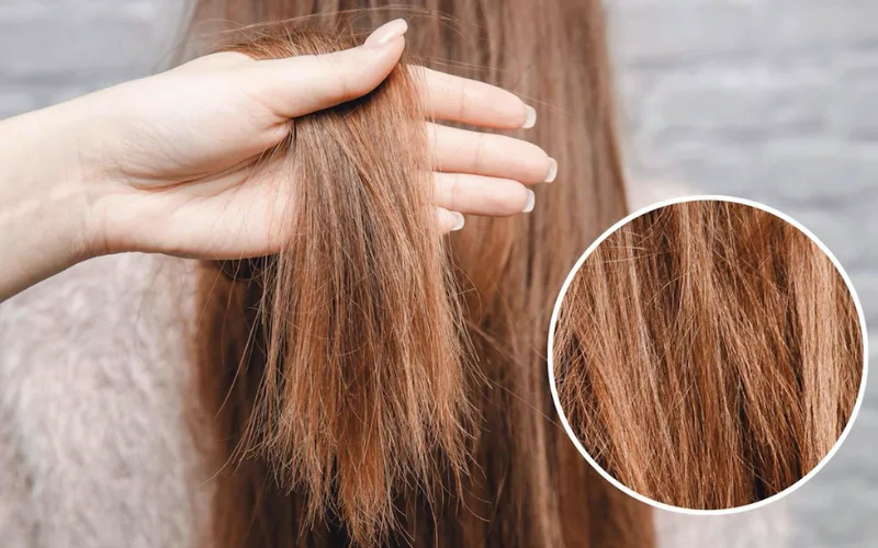 Tóc khô rối