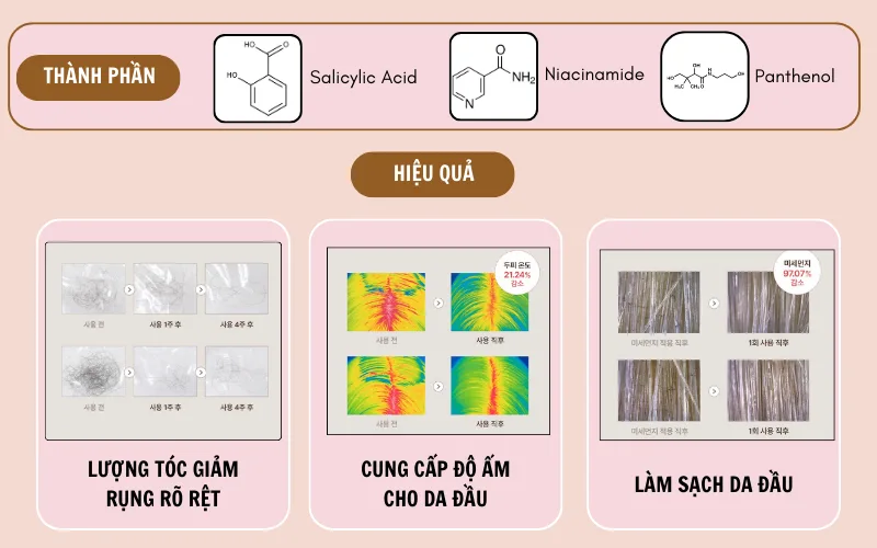 dầu gội KioSkin
