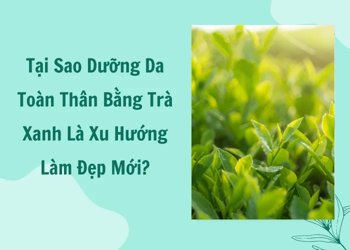Dưỡng da toàn thân bằng trà xanh
