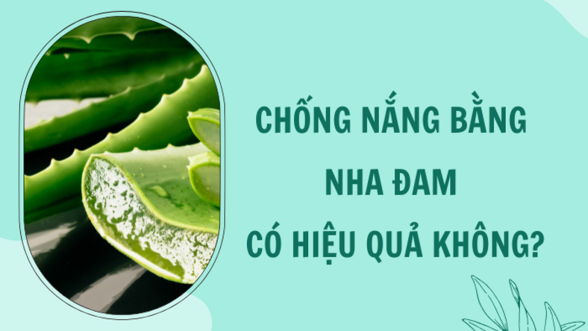 ĐẮP MẶT NẠ NHA ĐAM TƯƠI HÀNG NGÀY CẦN ĐÚNG CÁCH VÀ LIỀU LƯỢNG