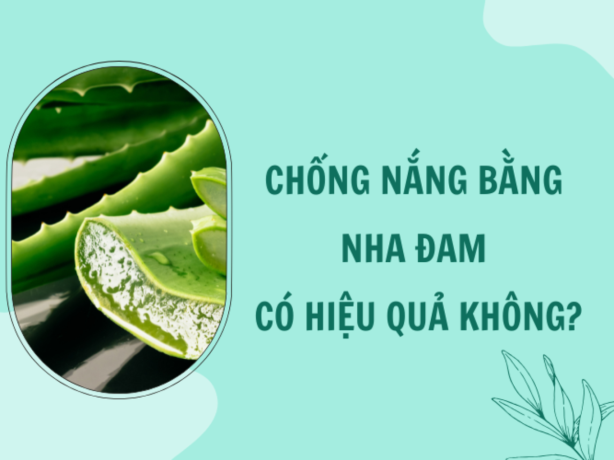 CHIẾT XUẤT GEL TỪ LÁ NHA ĐAM TƯƠI SẠCH AN TOÀN CHO DA