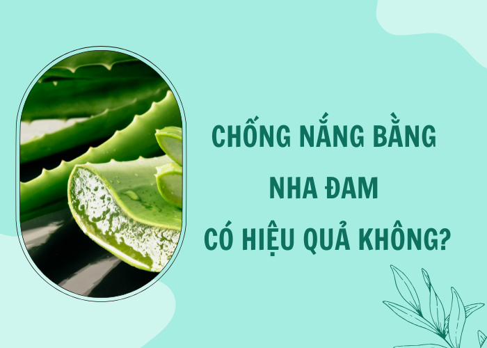 ÁP DỤNG GEL NHA ĐAM TRỰC TIẾP LÊN DA MẶT ĐƠN GIẢN TẠI NHÀ