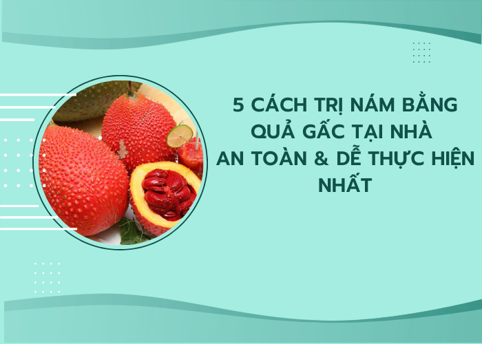 cách trị nám bằng quả gấc