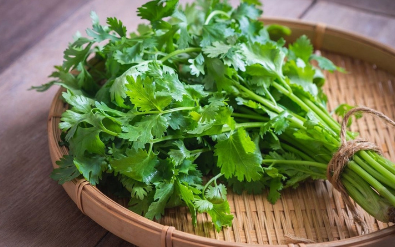 cách trị nám bằng rau mùi