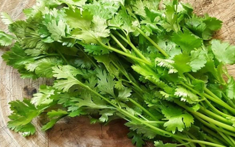 cách trị nám bằng rau mùi