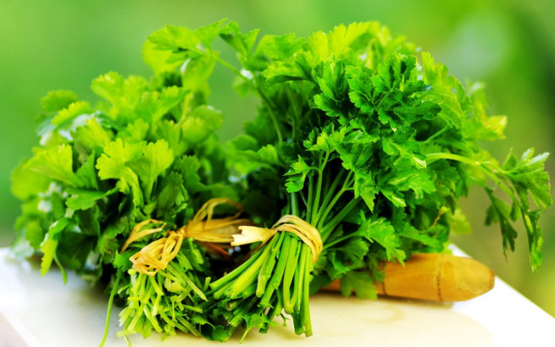cách trị nám bằng rau mùi