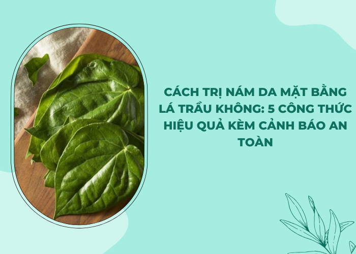 cách trị nám da mặt bằng lá trầu không