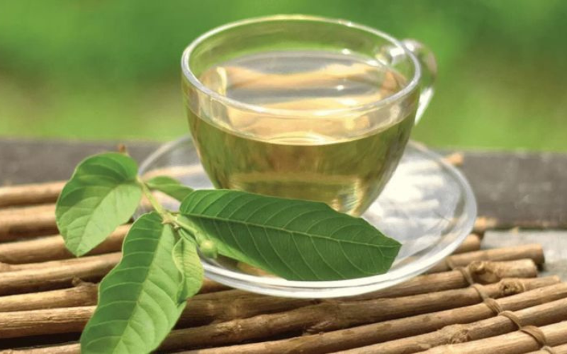 trị nám bằng lá ổi