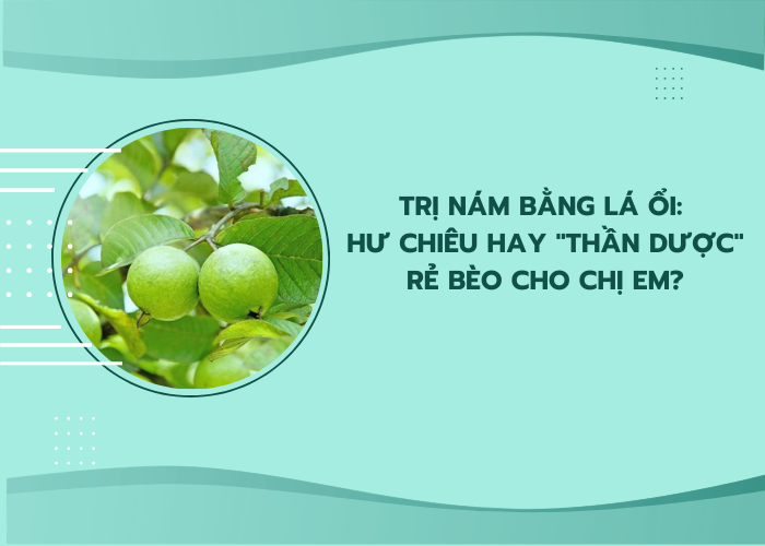 trị nám bằng lá ổi