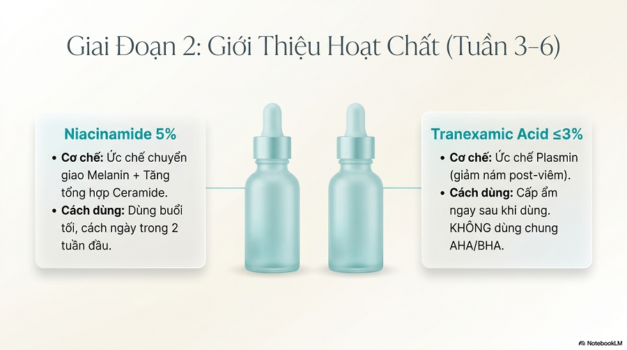 nám da do mỹ phẩm