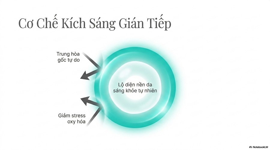 uống vitamin e có trắng da không
