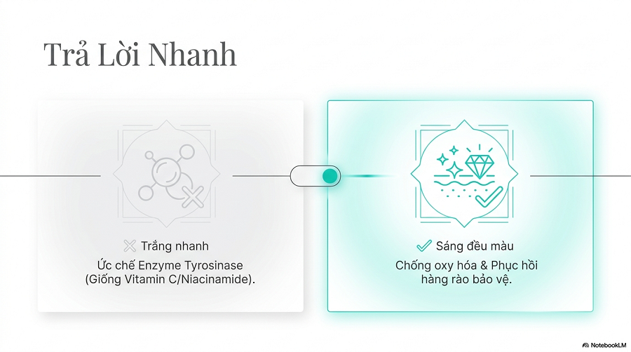 uống vitamin e có trắng da không